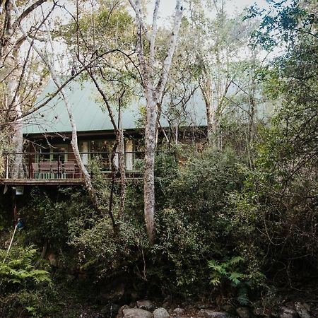 Rockwood Karkloof Forest Lodge & Mountain Cabin Yarrow エクステリア 写真