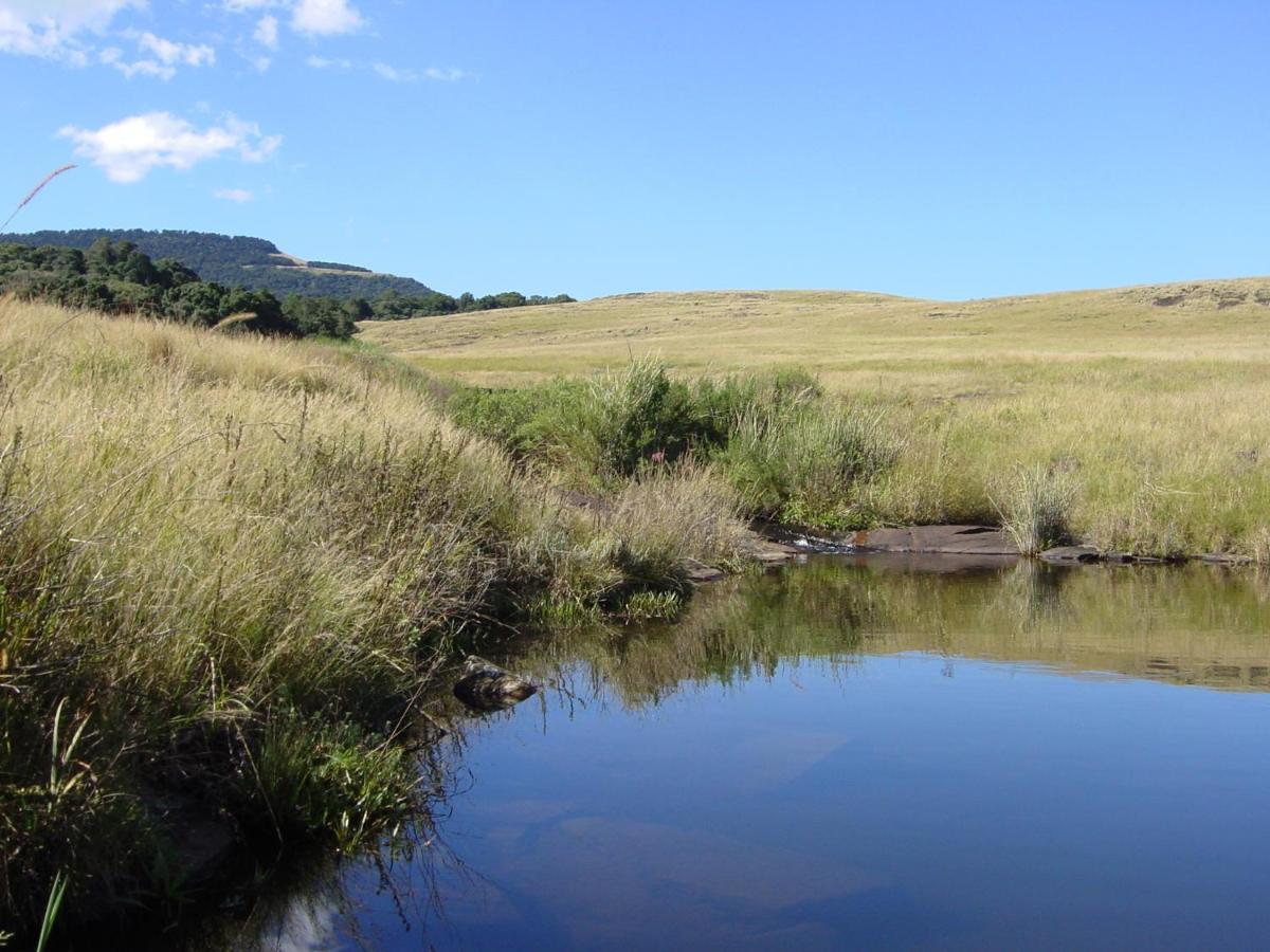 Rockwood Karkloof Forest Lodge & Mountain Cabin Yarrow エクステリア 写真