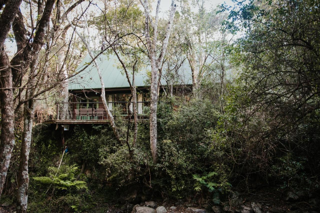 Rockwood Karkloof Forest Lodge & Mountain Cabin Yarrow エクステリア 写真
