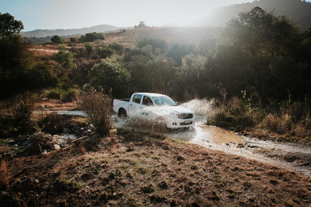Rockwood Karkloof Forest Lodge & Mountain Cabin Yarrow エクステリア 写真